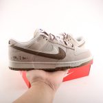 DUNK SB LOW SPECIAL DO9457-108 - Image 8
