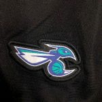 Charlotte Hornets NBA Shorts - Image 6