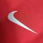 Portugal 2016/17 Home Retro Jersey - Image 8
