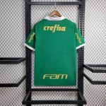Palmeiras 2024/25 Home Jersey - Image 11