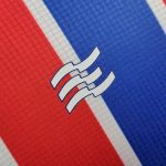 Bahia 2024/25 Anniversary Edition Jersey - Image 6