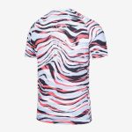 South Korea 2020/21 Pre-Match Jersey - Image 2