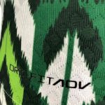 Nigeria 2022 Home Jersey Player Version - Image 5