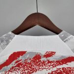 South Korea 2022 Pre-Match Jersey - Image 6