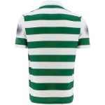 Limerick GAA Mens Commemoration Jersey - Image 2