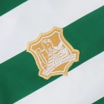 Limerick GAA Mens Commemoration Jersey - Image 5