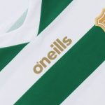 Limerick GAA Mens Commemoration Jersey - Image 6