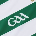 Limerick GAA Mens Commemoration Jersey - Image 7