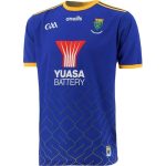 Wicklow GAA 2021/2022 Mens 2 Stripe Home Hurling Jersey