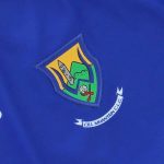 Wicklow GAA 2021/2022 Mens 2 Stripe Home Hurling Jersey - Image 3