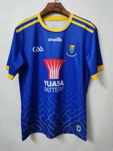 Wicklow GAA 2021/2022 Mens 2 Stripe Home Hurling Jersey - Image 9