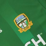 Meath GAA 2 Stripe Home Men's Jersey 2022 - Image 3
