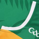 Kerry GAA Home Men's Vest 2022 - Image 2