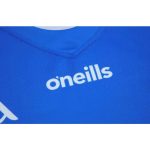 Laois GAA 2023 Mens Home 3 Stripe Jersey - Image 5