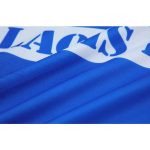Laois GAA 2023 Mens Home 3 Stripe Jersey - Image 9
