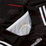 Down GAA 2023 Mens Goalkeeper 3 Stripe Jersey - Image 7