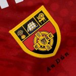 Down GAA 2023 Mens Home 3 Stripe Jersey - Image 2