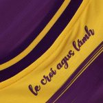 Wexford GAA 2024 Men's Home Jersey - 3 Stripe - Image 3