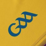 Wexford GAA 2024 Men's Home Jersey - 3 Stripe - Image 4