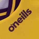 Wexford GAA 2024 Men's Home Jersey - 3 Stripe - Image 5