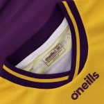Wexford GAA 2024 Men's Home Jersey - 3 Stripe - Image 6