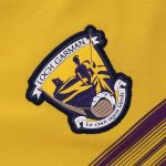 Wexford GAA 2024 Men's Home Jersey - 3 Stripe - Image 7
