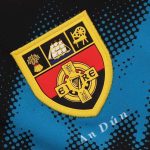 Down GAA 2024 Men's Alternative Jersey - 3 Stripe - Image 5