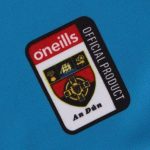 Down GAA 2024 Men's Alternative Jersey - 3 Stripe - Image 7