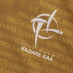Kildare GAA 2024 Men's Alternate Goalkeeper Jersey - 3 Stripe - Image 5