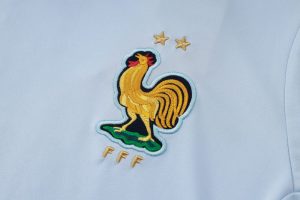 France 2024/25 Training Adult Jersey+Short 815 - Image 5