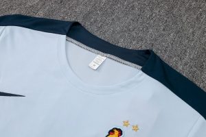 France 2024/25 Training Adult Jersey+Short 815 - Image 4