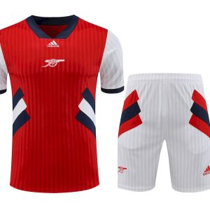 Arsenal 2023/24 Training Adult Jersey+Short 418