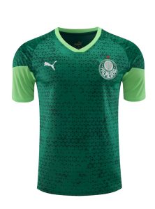 Palmeiras 2024/25 Training Adult Jersey+Short 418 - Image 5
