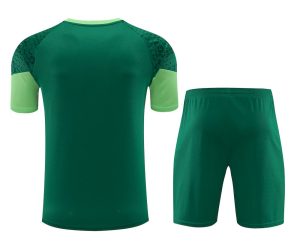 Palmeiras 2024/25 Training Adult Jersey+Short 418 - Image 2