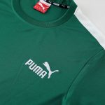 Puma 01 Training Adult Jersey+Pant LH - Image 2