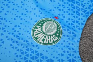 Palmeiras 2024/25 Adult Tank Top+Short 418 - Image 4