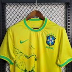 Brazil 2022/23 Pigeon Special Edition Jersey - Image 9