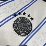 Fenerbahce 2024/25 Away Jersey - Image 6