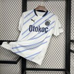 Fenerbahce 2024/25 Away Jersey