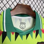 CD Palestino 2024/25 Hypepeace Joint Edition Retro Jersey - Image 6