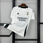 Benfica 2024/25  Fourth Away Concept Jersey