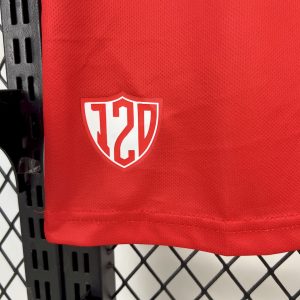 Argentinos Juniors 2025/26 Home Jersey - Image 4