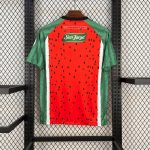 CD Palestino 2025/26 Fourth Away Jersey - Image 2