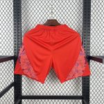 Universidad de Chile 2025/26 Away Shorts - Image 2