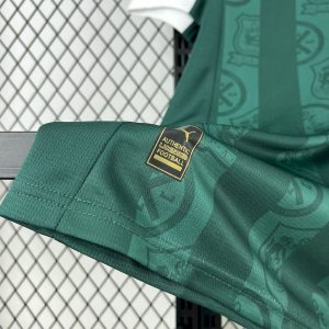 Plymouth Argyle F.C. 2025/26 Home Jersey - Image 5