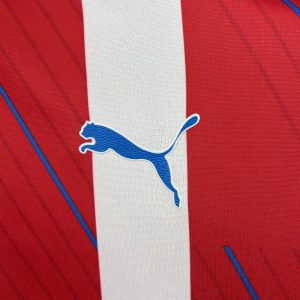 Paraguay 2024/25 Home Jersey - Image 8